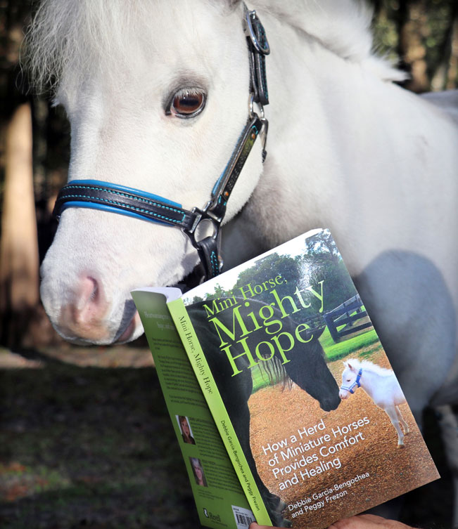 A Herd of Tiny Horses Shares The Gift of  Love & Hope 