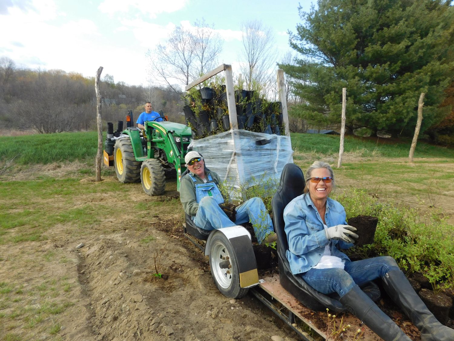 Star Blueberry Farm Marathon Planting Day